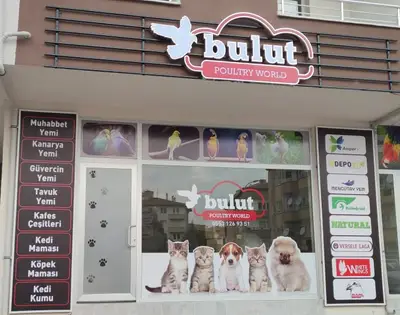 Bulut Mama