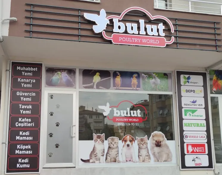 Bulut Mama foto 1