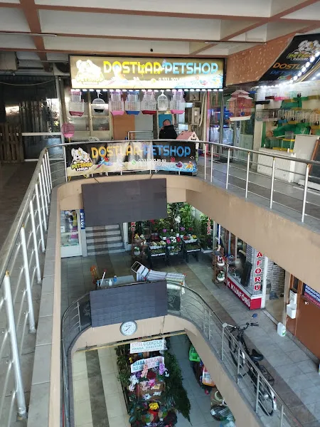 YUNUS AKVARYUM VE KUŞ GALERİSİ foto 1
