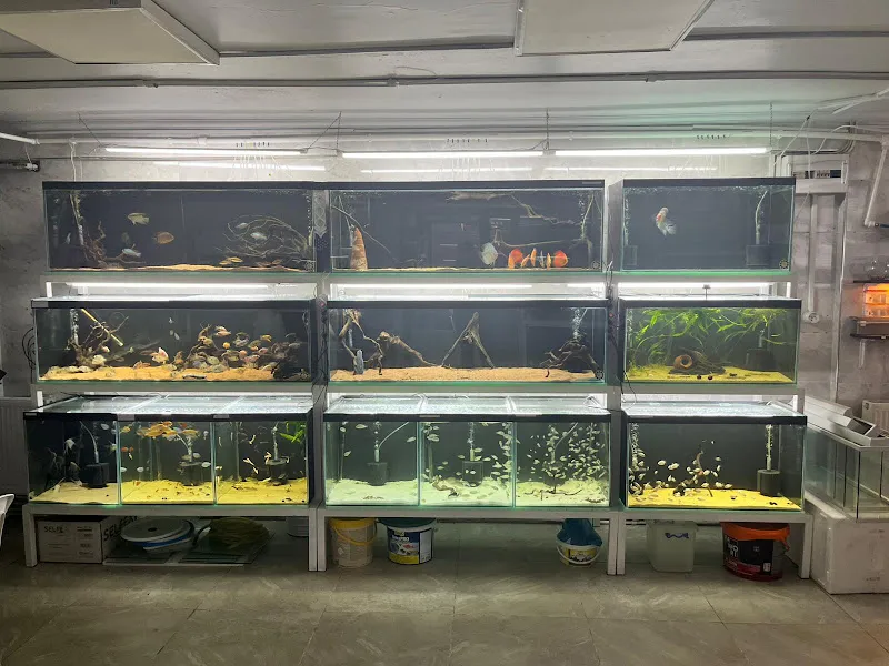 Egzotik Akvaryum ve Pet Center foto 2