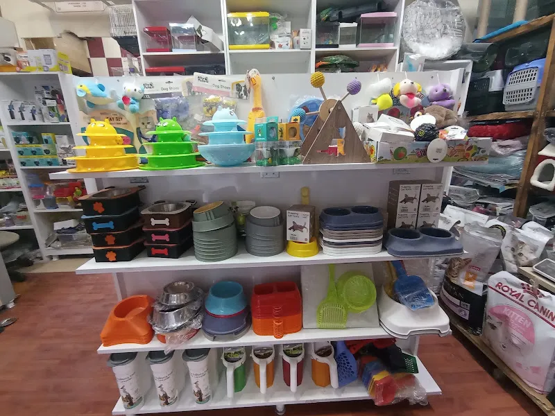Dalyan Petshop foto 2