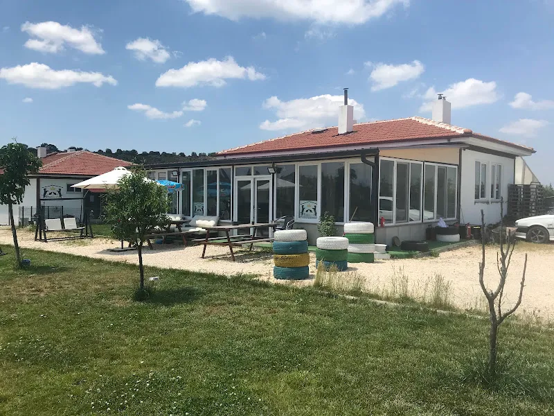 Eskişehir yerinde köpek eğitim foto 2