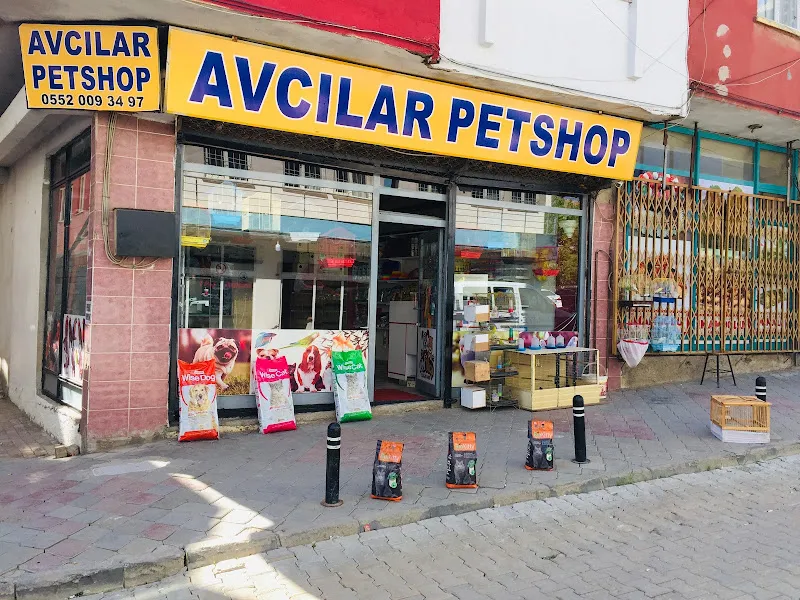 AVCILAR PETSHOP AFŞİN foto 1