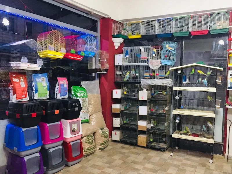 AVCILAR PETSHOP AFŞİN foto 2