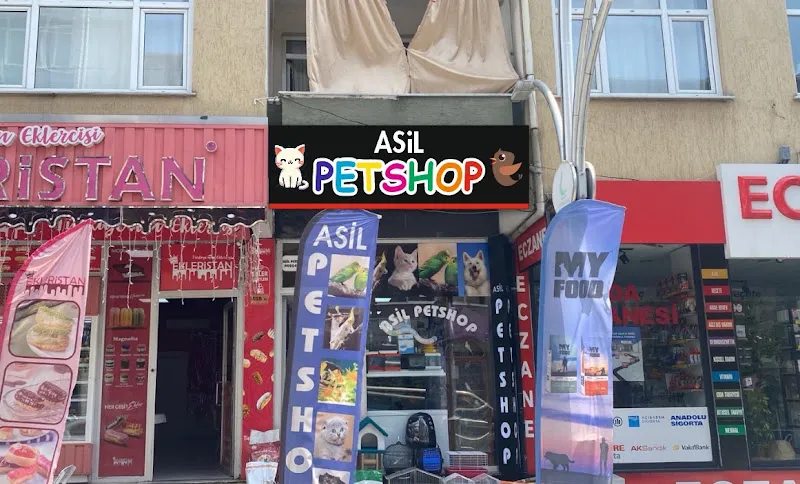 Asil petshop foto 1
