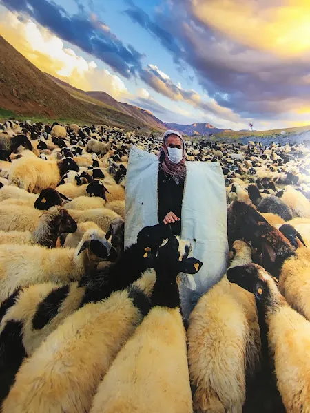 Ömür Veteriner Kliniği foto 2
