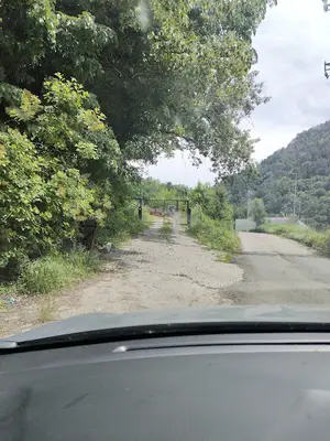 Köpek barınağı