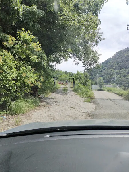 Köpek barınağı foto 2