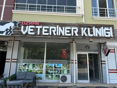 Uzman Veteriner Kliniği