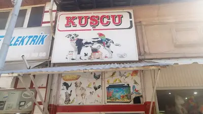 Gümüşhacıköy Pet Shop