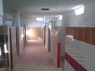 Alex köpek oteli fotoğrafı