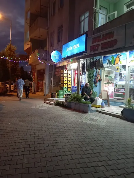 Dalyan Pet Shop foto 2