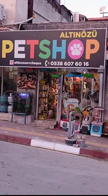 Altınözü evcil akvaryum