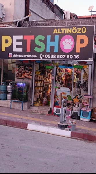 Altınözü evcil akvaryum foto 1