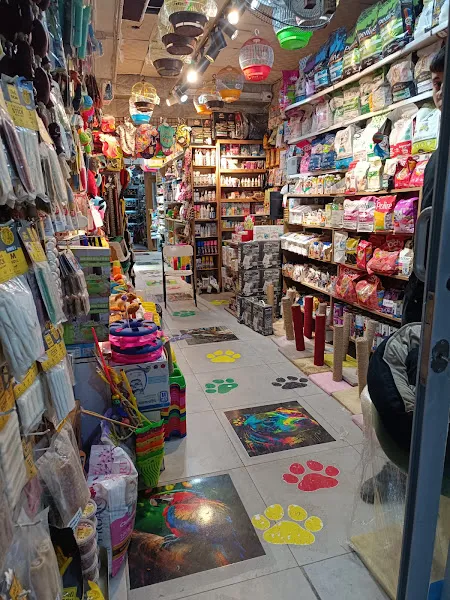 Altınözü evcil akvaryum foto 2