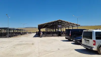 Karakoçan Belediyesi Canlı Hayvan Pazarı