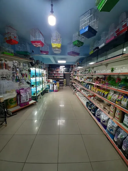Mavi Pet Shop foto 2