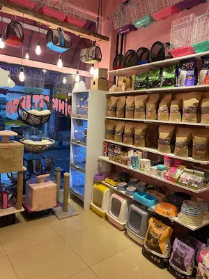pink petshop