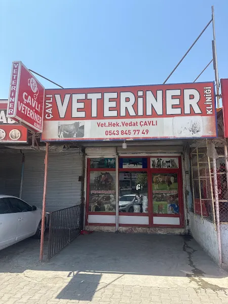 Çavlı Veteriner Kliniği foto 1