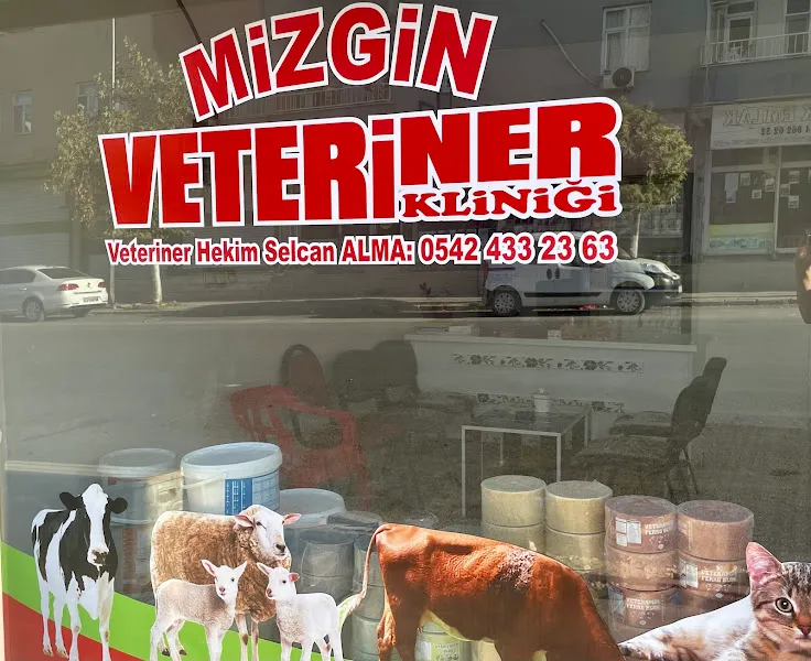 Mizgin veteriner kliniği foto 1