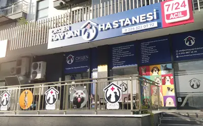 Oksijen Hayvan Hastanesi fotoğrafı