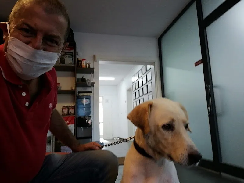 VetEvA Veteriner Kliniği foto 2