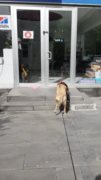 Pet Home Veteriner Kliniği foto 2