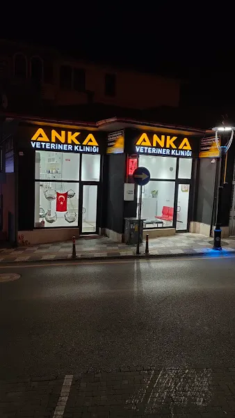 BARTIN ANKA VETERİNER KLİNİĞİ foto 1