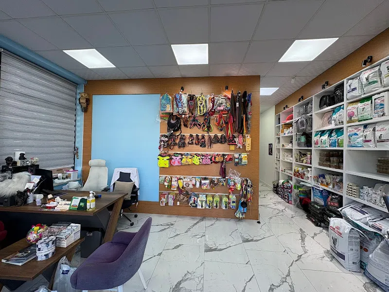 Mavi Veteriner Kliniği foto 1