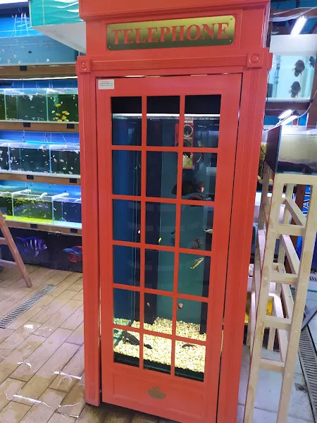 Malawi İzmir Akvaryum ve Pet Ürünleri foto 2