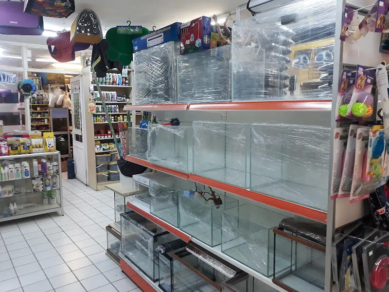 As Pet Shop foto 2