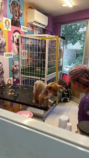 Petfony Petshop ve Pet Kuaför foto 2