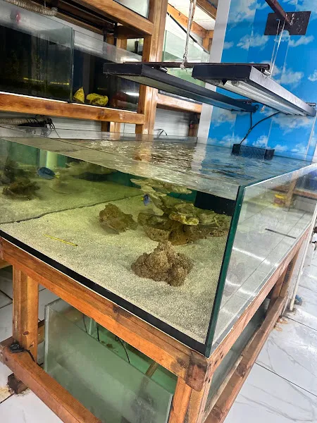 VAN OKYANUS PETSHOP foto 2