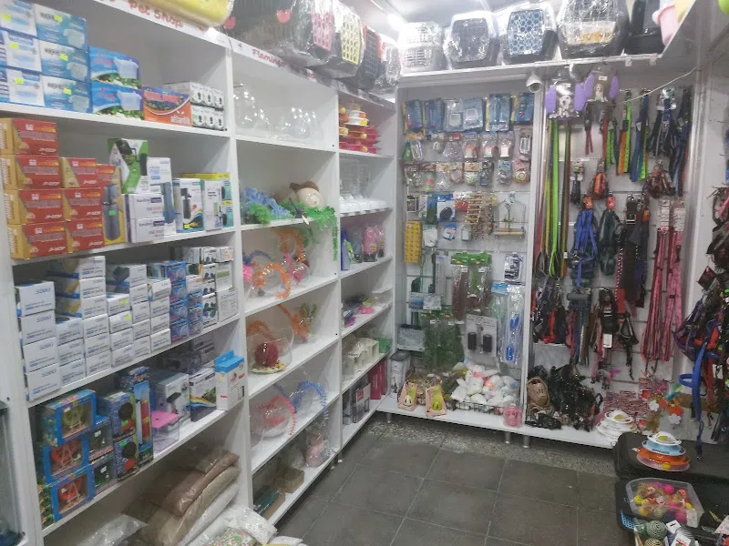 Flamingo Pet Shop foto 2
