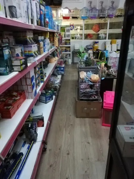 İkizler Pet Shop foto 2