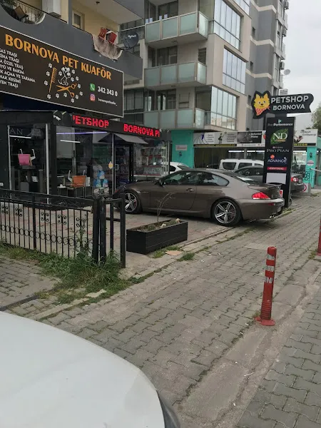 Bornova Pet Kuaför foto 1