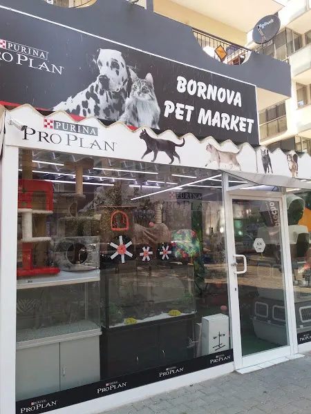 Bornova Pet Kuaför foto 2