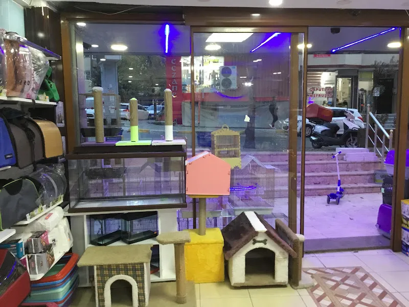 OKYANUS PETSHOP foto 2