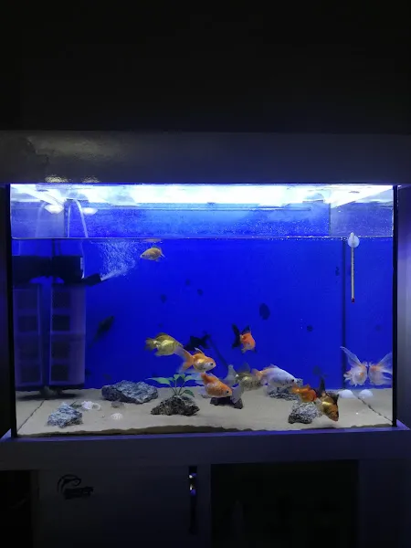 Naturel Pet Shop foto 2