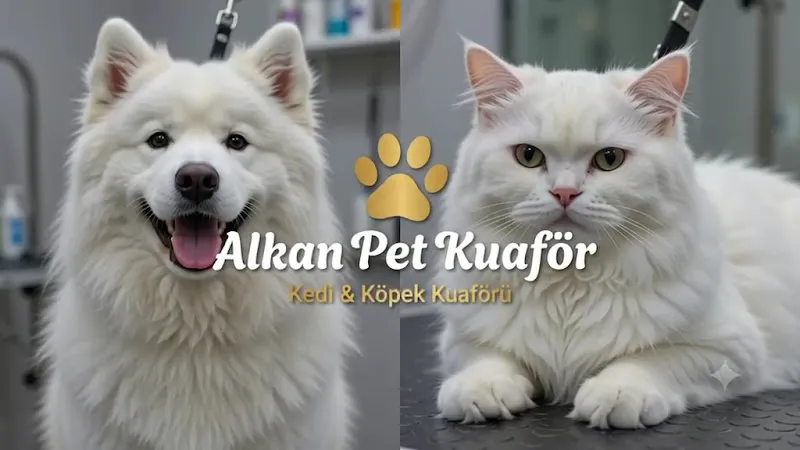 ALKAN PETSHOP & PET KUAFÖR foto 2