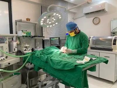 Ateş Veteriner Kliniği