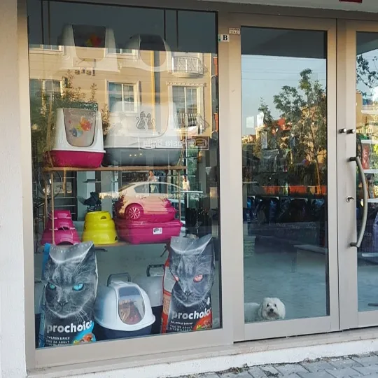 Papyon Petshop foto 2