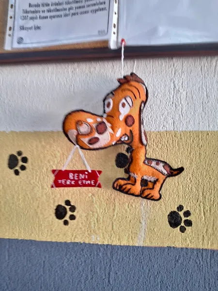 İzmir Büyükşehir Belediye Işıkkent Köpek Bakım Evi foto 2