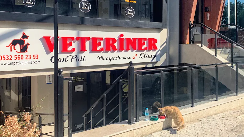 Can Pati Veteriner Kliniği foto 1
