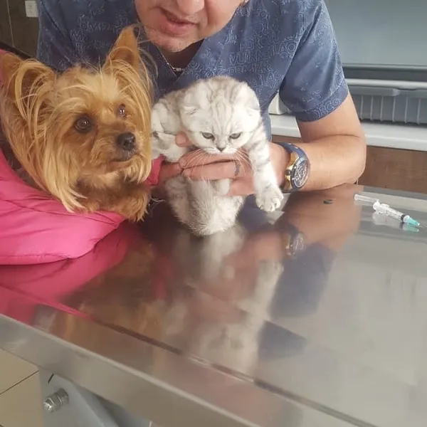 Sirius Veteriner Kliniği foto 2
