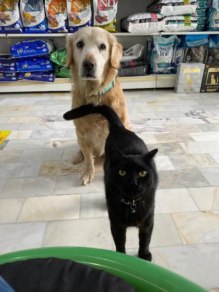 Doğa Veteriner Kliniği/Büyükçekmece foto 2