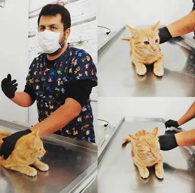 ısparta VETÖZDEN Veteriner kliniği