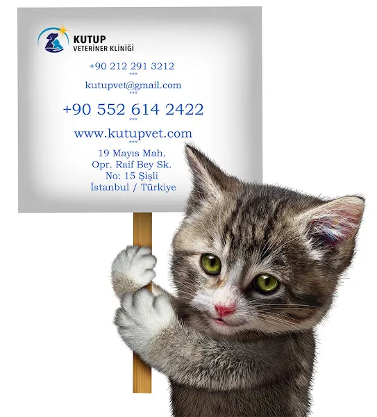 Kutup Veteriner Kliniği | Şişli Veteriner foto 2