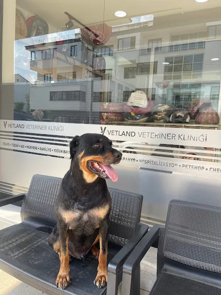Vetland Veteriner Kliniği Ordu foto 2