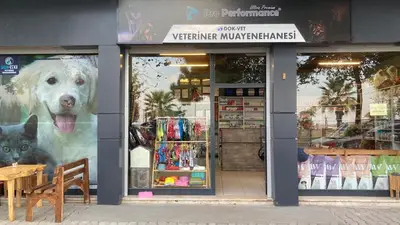 DOK-VET VETERİNER MUAYENEHANESİ